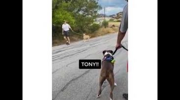 Mediatakeout what’s you name? Tony vs Ezekiel