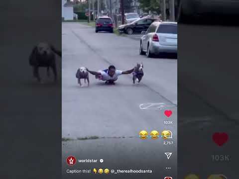 Buffalo Bills Dogs Caption This?!? WorldStar