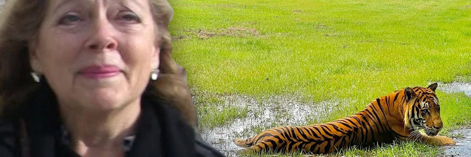 Carole Baskin and Big Cats Sheltering in Place for Hurricane Ian