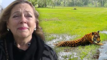 Carole Baskin and Big Cats Sheltering in Place for Hurricane Ian