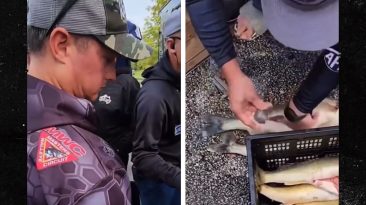 Pro Fishing Repeat Champs Accused of Stuffing Walleye with Weights