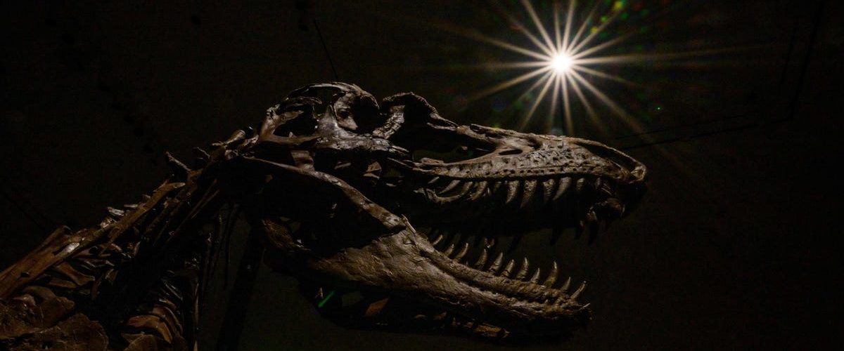 The Asteroid That Killed the Dinosaurs Spawned a Monster Tsunami