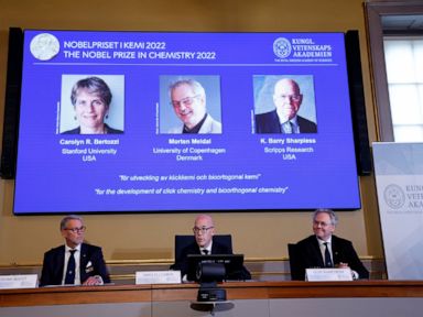 Nobel Prize for 3 chemists who made molecules ‘click’