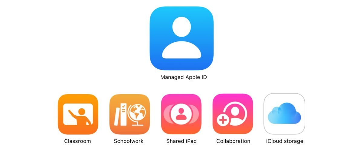 Apple @ Work: What are Managed Apple IDs used for?