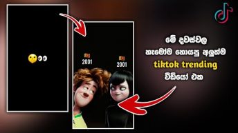 Tik Tok Trending Video Editing | Love Tik Tok Trending Video | Sinhala | 2022