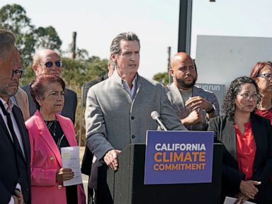 Tax the rich for more EVs? California Democrats split