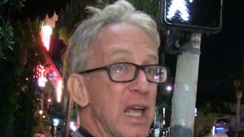 Andy Dick Arrested for Allegedly Stealing Power Tools