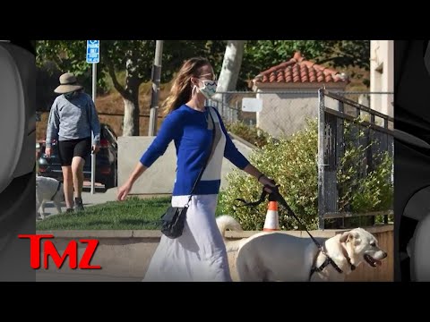 Olivia Wilde Makes Sure To Be Good Mom After Allegedly Giving Away Family Dog | TMZ TV