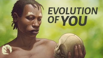 The complex evolution of homo sapiens – 1,000,000 to 30,000 years ago