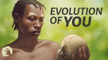 The complex evolution of homo sapiens – 1,000,000 to 30,000 years ago