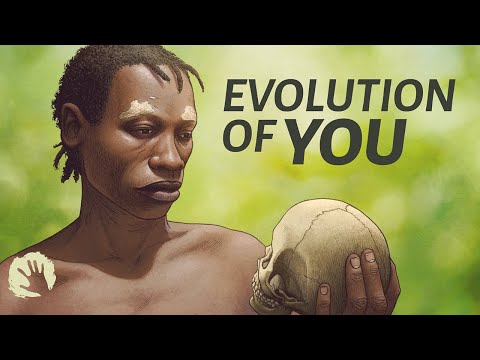 The complex evolution of homo sapiens – 1,000,000 to 30,000 years ago