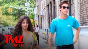 Shawn Mendes and Camila Cabello Spotted Together Walking Dog | TMZ TV