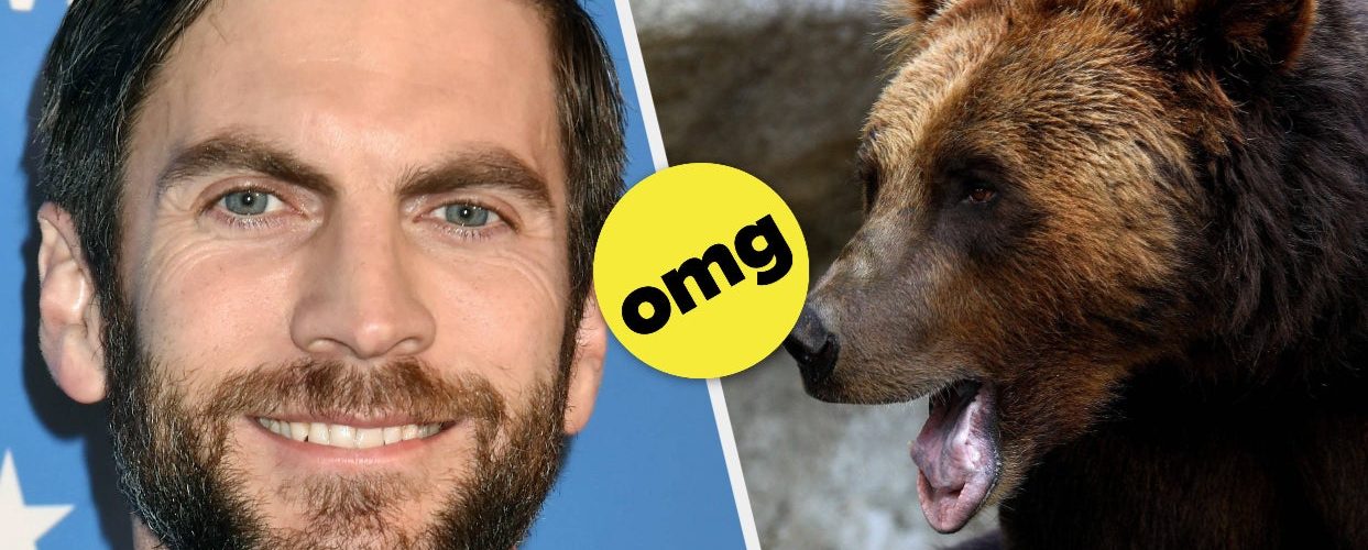 “Yellowstone” Star Wes Bentley Says He Kicked A Bear In The Face While Camping And Broke His Foot In The Process