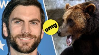 “Yellowstone” Star Wes Bentley Says He Kicked A Bear In The Face While Camping And Broke His Foot In The Process