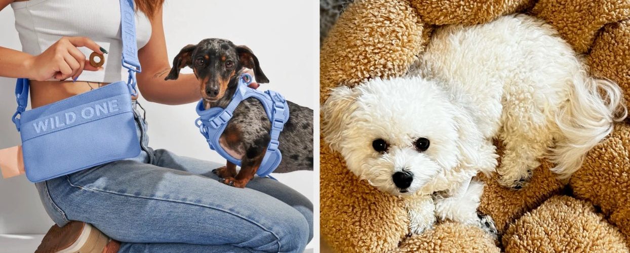 Just 36 Gifts To Treat Your Fav Dog Parent (And Their Pup) To