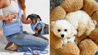 Just 36 Gifts To Treat Your Fav Dog Parent (And Their Pup) To