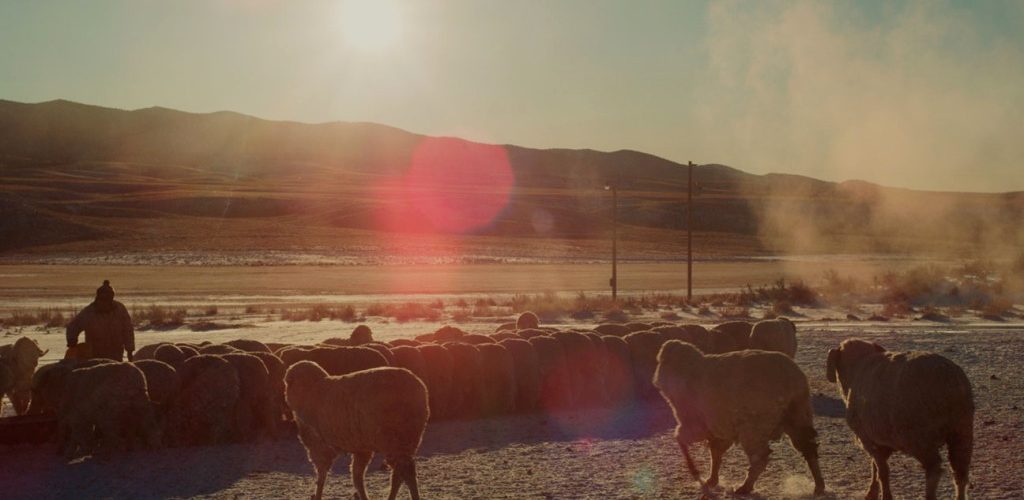 ‘The Great Basin’ Review: A Documentarian’s Intimate Portrait of Rural Nevada