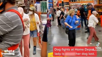 Dog Fight in Home Depot Causes Outrage | What’s Trending Explained