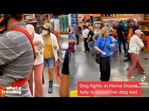 Dog Fight in Home Depot Causes Outrage | What’s Trending Explained