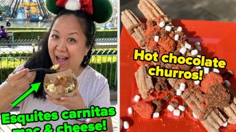 We Ate A Bunch Of Holiday Foods At Disneyland, And Here Are Some Of Our Favorites