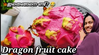 റിയലിസ്റ്റിക് കേക്ക് മരിച്ചു, ഞാൻ കൊന്നു 😂#cake  #shorts #viral #trending #cupcakeandcurry