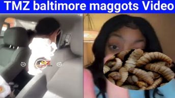 TMZ baltimore maggots videoz baltimore full | good news Trending