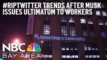 #RIPTwitter Trending As Workers Flee in Response to Elon Musk’s Ultimatum