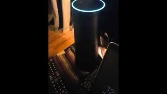 Amazon Echo flash news briefing with TMZ