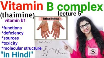 Vitamin B Complex / Vitamin b biochemistry , Deficiency, Sources, Functions / Thaimine /beriberi