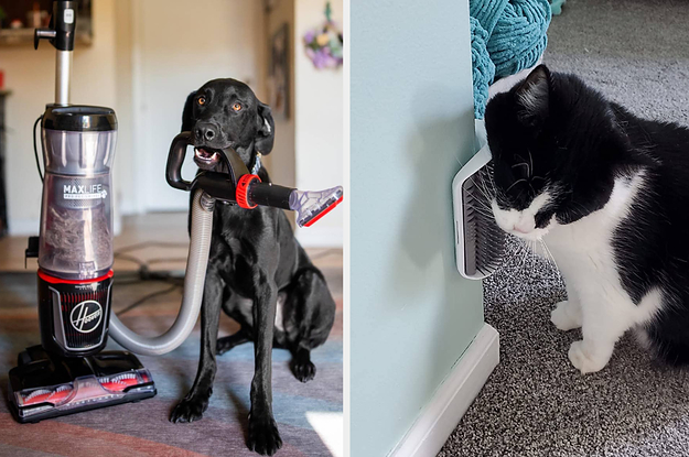 22 Pet Products From Amazon Our Readers Loved In 2022