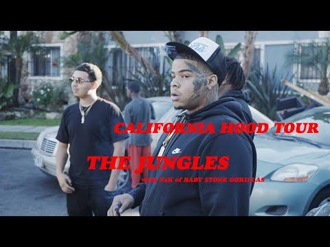 CALIFORNIA HOOD TOUR: THE JUNGLES of LOS ANGELES (with P4K of BABY STONE GORILLAS)