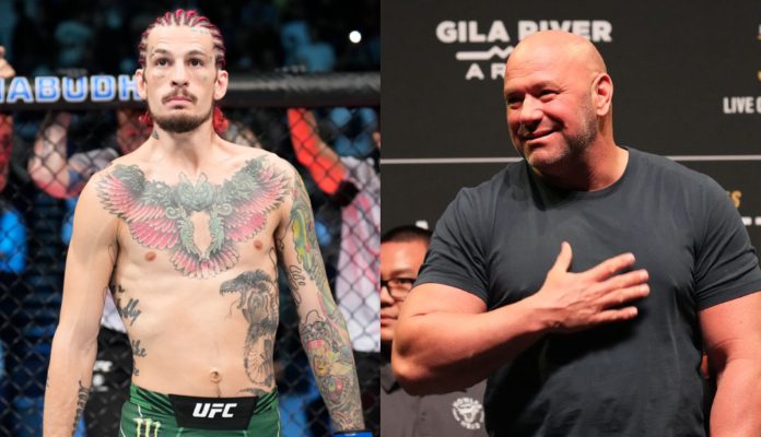 Sean O’Malley says Dana White’s wife “deserves a slapping back” after hitting him first