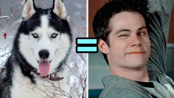 Everyone Is A “Teen Wolf” Character At Heart – It’s Time To Find Out Who You Are