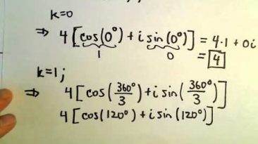 Roots of Complex Numbers, Ex 3