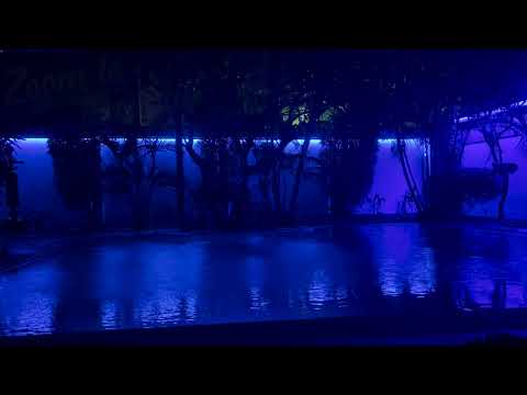 3 hours of Relaxing night rain in Thailand