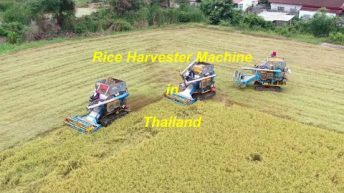 DJI Mavic Pro 2 Zoom Rice Harvester Machine in Thailand