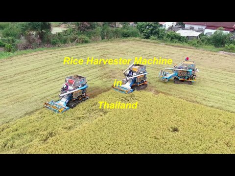 DJI Mavic Pro 2 Zoom Rice Harvester Machine in Thailand