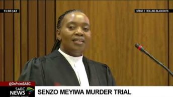 Senzo Meyiwa Trial | Cross-examination of Tumelo Madlala: Chriselda Lewis