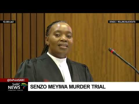 Senzo Meyiwa Trial | Cross-examination of Tumelo Madlala: Chriselda Lewis