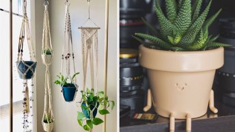 The 31 Coolest And Most Unique Planters You Can Buy Online Right Now