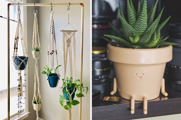 The 31 Coolest And Most Unique Planters You Can Buy Online Right Now