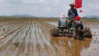 N. Korea food shortage worsens amid COVID, but no famine yet