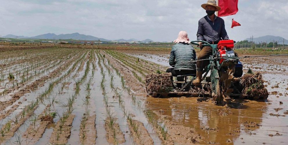 N. Korea food shortage worsens amid COVID, but no famine yet