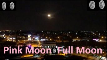 Watch! Wow! Pink Moon , Full Moon,  Zoom at  Pattaya Thailand