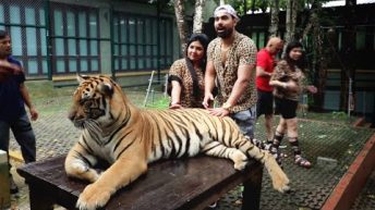 Playing With Real Tigers 😱- Thailand Trip[EP-1]