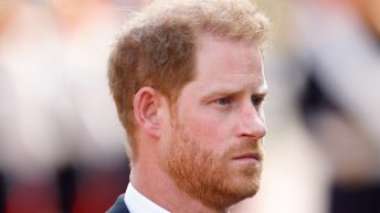 Prince Harry Diagnosed with ADD, PTSD in Sit Down with Dr. Gabor Maté