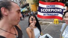 Exploring Bangkok with a beautiful Thai girl I just met – Thailand Travel Vlog