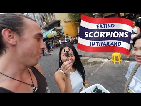 Exploring Bangkok with a beautiful Thai girl I just met – Thailand Travel Vlog