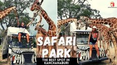 Kanchanaburi Safari Park | Travel Thailand 2021 | กาญจนบุรี ซาฟารีปาร์ค | Kanchanaburi Thailand 2021