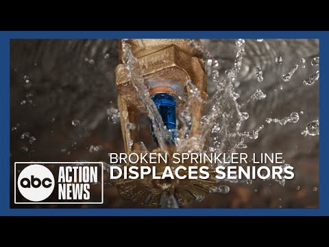 Broken sprinkler line displaces nearly 100 seniors from Port Richey apartment complex